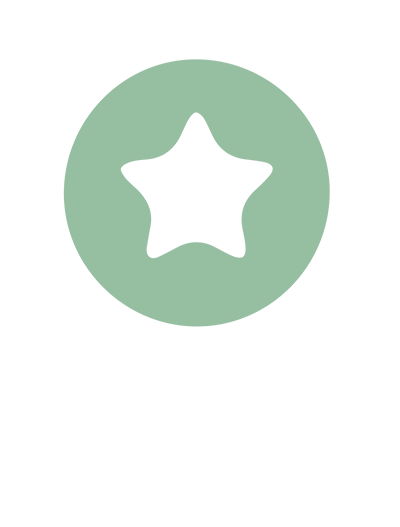 Icon 4